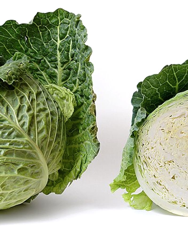 Cabbage