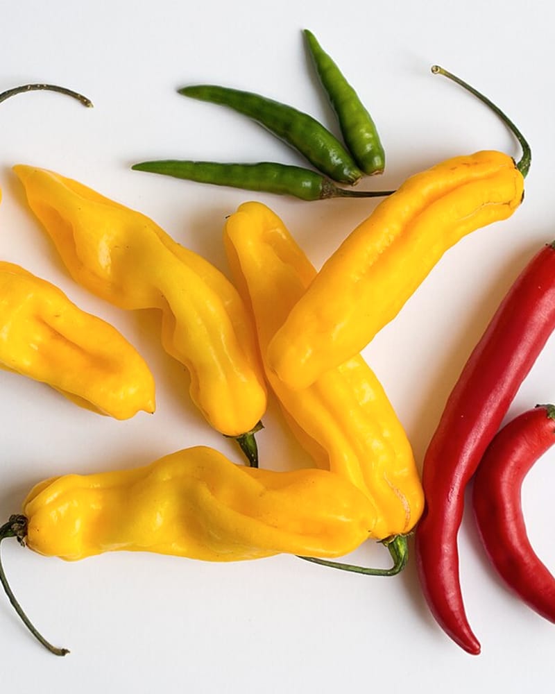 Fresh Chilli