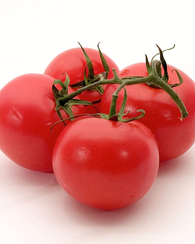 Fresh tomatoes