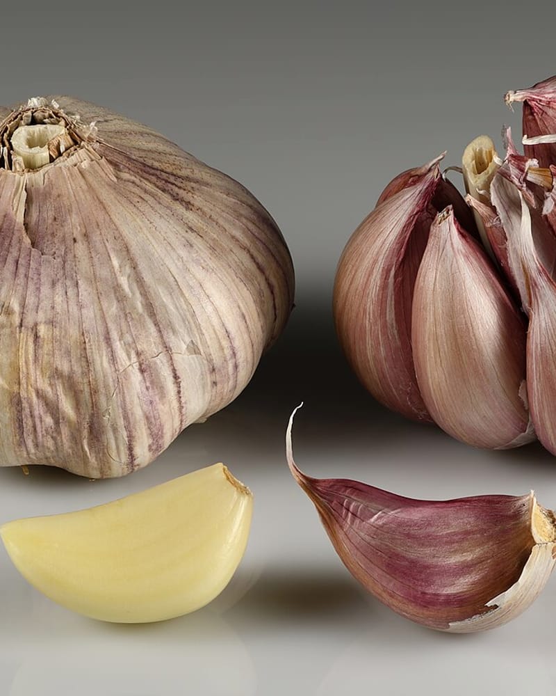 Garlic