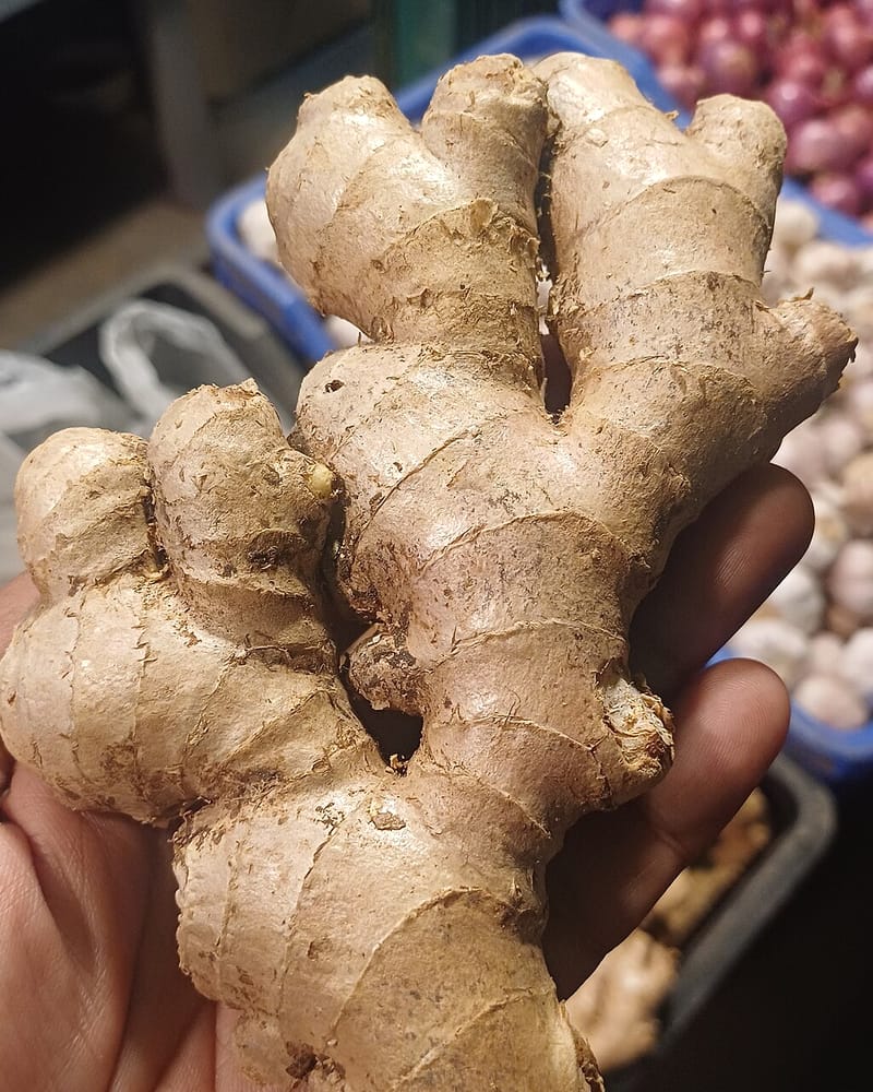 Ginger